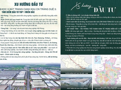 Chính chủ gửi bán hơn 10 lô đất giá chỉ 700 triệu/lô   ngay thị trấn an lão, hải phòng. 4