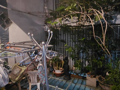 Khu vip nguyễn trọng tuyển   42m2   2 tầng   sân trước rộng thoáng chỉ 3.7 tỷ tl 2