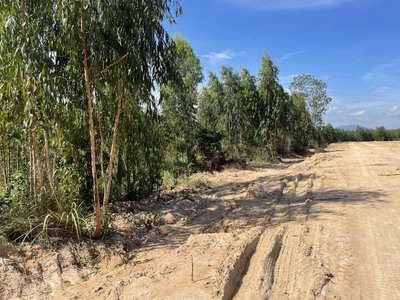 Bán 1.8 hecta đất tân xuân - hàm tân đường rộng 10m giá ngộp 145 triệu/ sào 2