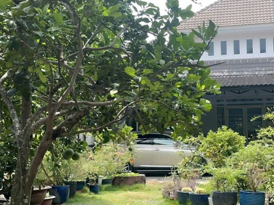 Bán biệt thự vườn   đất mặt tiền nhựa   tân thông hội, củ chi   ngang khủng 20m 0
