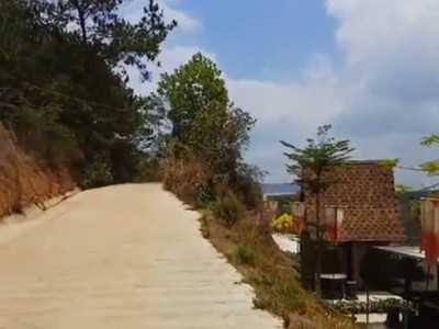 Đất đẹp - giá tốt - cần bán gấp đất trồng cây lâu năm tại tà nùng, tp. đà lạt 1