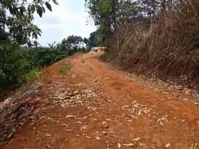 Đất đẹp - giá tốt - cần bán gấp đất trồng cây lâu năm tại tà nùng, tp. đà lạt 3