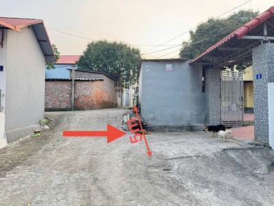 Đầu tư sinh lời hoặc an cư lý tưởng tại thôn xuân lễ, tân dân, sóc sơn - mảnh đất 90m  đắc địa 0