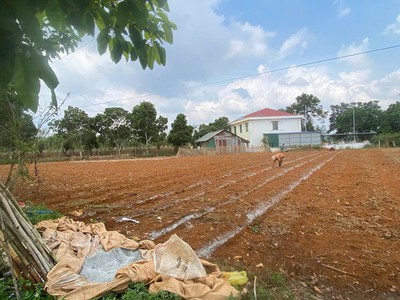 Chính chủ cần bán đất  vị trí đẹp ngay ngã tư xã thuận hà, đắk song, lâm đồng  đắk nông 2