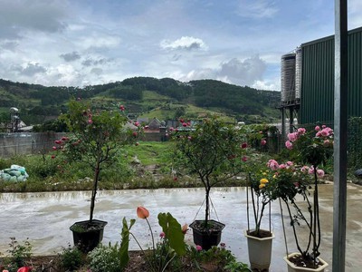 1460m2 Đất nghỉ dưỡng hiệp an đức trọng, Lâm Đồng 1