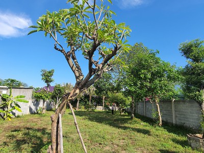 LÔ ĐẤT  VÀNG  634m2 tại Bình Hòa, Phước Hạ, Phước Đồng. 4