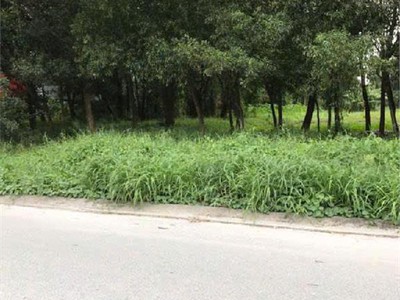 Chính chủ cho thuê MBKD mặt hồ hoàng càu 382