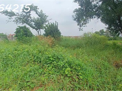 Chính chủ cho thuê MBKD mặt hồ hoàng càu 383