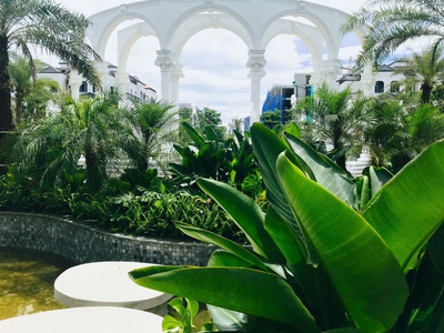 Btlk  siêu hiềm - view công viên 6000m   2 căn cuối cùng tại gia22. 2