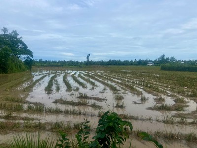 Chính chủ cho thuê MBKD mặt hồ hoàng càu 244