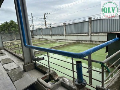 Cho thuê nhà xưởng 2.520 m2 SKC đóng tiền 1 lần tại Tân Uyên, Bình Dương 2