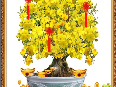 Tranh gạch 3d bong mai - SCX44 5