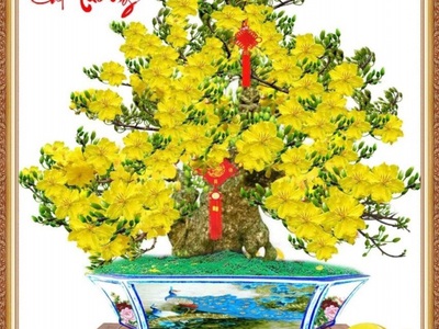 Tranh gạch 3d bong mai - SCX44 2