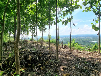 BÁN GẤP  Lô cuối cùng tại Định Quán 3