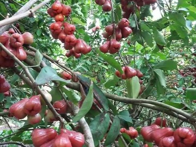 Bán đất vị trí đẹp, View đẹp ngay Thống Nhất - Dầu Giây tiềm năng phát triển cao 4
