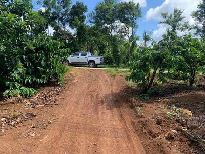 Chính chủ cho thuê MBKD mặt hồ hoàng càu 2881