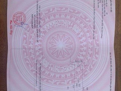 Chính chủ cho thuê MBKD mặt hồ hoàng càu 2884