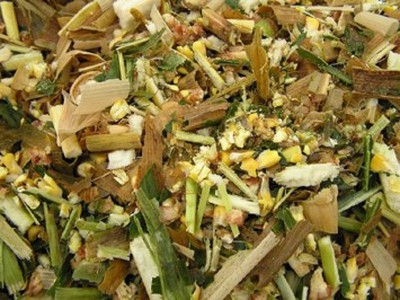 Chính chủ cho thuê MBKD mặt hồ hoàng càu 4016