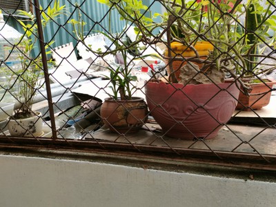 Chính chủ cho thuê MBKD mặt hồ hoàng càu 2682