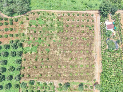 Bán gấp 20x45m dt 900m  có 80 m2 ont gần chợ láng lớn giá chỉ: 2 triệu/m 3