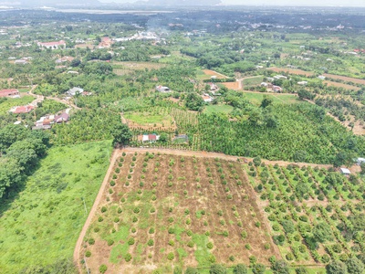 Bán gấp 20x45m dt 900m  có 80 m2 ont gần chợ láng lớn giá chỉ: 2 triệu/m 2
