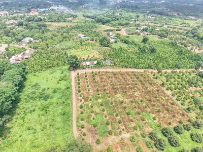 Bán gấp 20x45m dt 900m  có 80 m2 ont gần chợ láng lớn giá chỉ: 2 triệu/m 0
