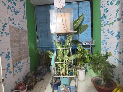 Nhà 3 tầng 22m2, hẻm xe hơi, quốc lộ 1k linh xuân thủ đức, 2.7 tỷ tl 4