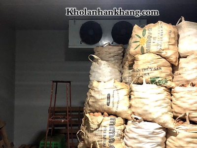 Lắp đặt thi công kho lạnh bảo quản khoai tây, kho lạnh bảo quản nông sản 0