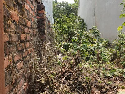 Bán đất mặt ngõ ô tô thông phố bắc cầu 60m2 mặt tiền 3.68m, 5.2 tỷ,long biên. 1