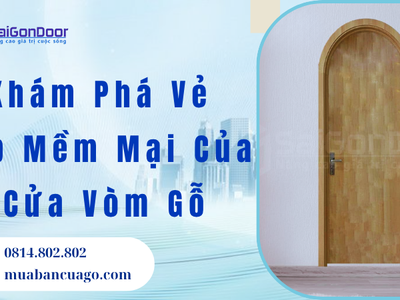 Khám Phá Vẻ Đẹp Mềm Mại Của Cửa Vòm Gỗ 1