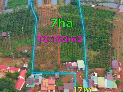 Chính chủ bán 7ha đất sẵn sổ giá tốt tại đăk song 3