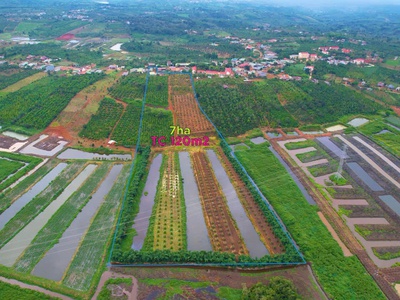 Chính chủ bán 7ha đất sẵn sổ giá tốt tại đăk song 1