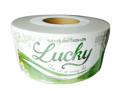 Giấy vệ sinh công nghiệp Đồng Bằng Sông Cửu Long 4