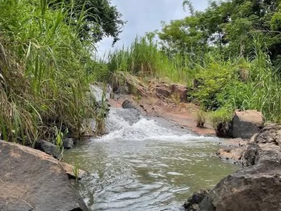 Cần nhượng lại lô đất 5.000m  Ngọc Định   có suối, ô tô tới nơi, giá chỉ 290 triệu/sào 1