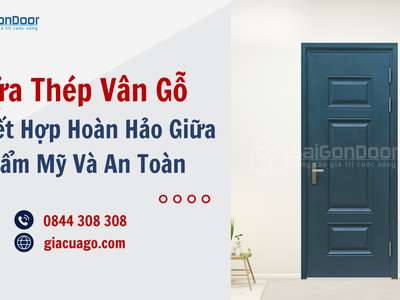 Cửa Thép Vân Gỗ Sự Kết Hợp Hoàn Hảo Giữa Thẩm Mỹ Và An Toàn 1