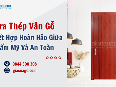 Cửa Thép Vân Gỗ Sự Kết Hợp Hoàn Hảo Giữa Thẩm Mỹ Và An Toàn 2