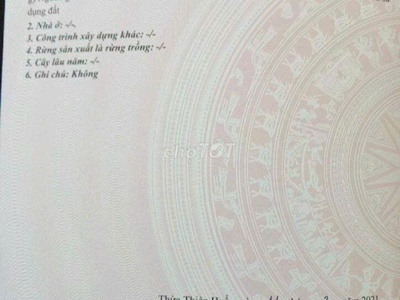 Sở hữu ngay lô đất đẹp - giá tốt - vị trí đắc địa tại xã thuỷ phù, tx hương thuỷ, thừa thiên huế 3