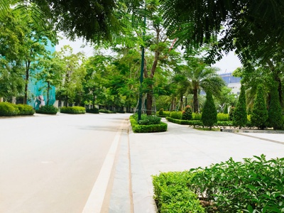  biệt thự độc nhất ciputra - mặt hồ, 2 mặt công viên, chỉ 165 tỷ 3