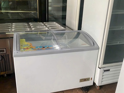 Tủ đông mặt kính hiệu sanaky dung tích 400l hàng mới 91 