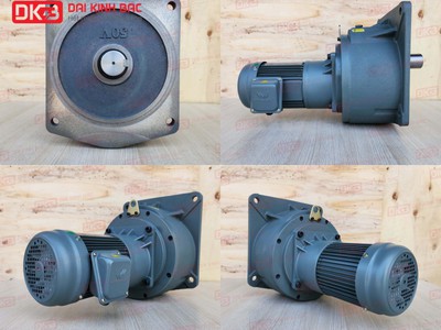 Động Cơ Giảm Tốc Mặt Bích Wanshsin GV50-400W-1500S 0