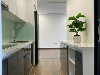 Tin thật 100  ch 86m2 x 2pn tại green diamond 93 láng hạ - ban công đông bắc - nội thất 500 triệu 1