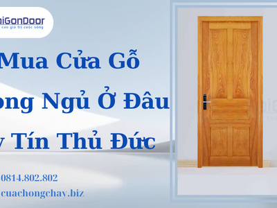 Mua Cửa Gỗ Phòng Ngủ Ở Đâu Uy Tín Thủ Đức 3