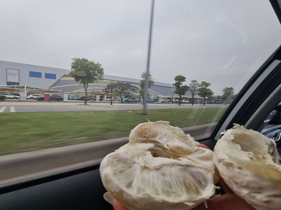 Chi thuê MBKD mặt hòi hoàng cáu 469