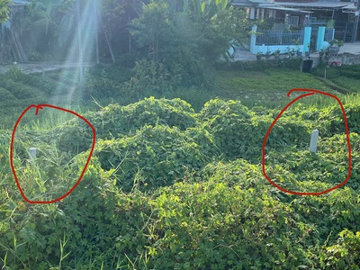 Chỉ 2.4 tỷ   đất mặt tiền trường chinh   100m    vị trí đẹp khó tìm 1