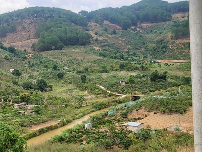 Cần bán 6525m đất sổ riêng tà nung đà lạt - giá chỉ 6 tỷ 1