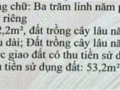 Lô đất góc 2mt 306m2 đường nội bộ nguyễn duy trinh, p phú hữu quận 9 2