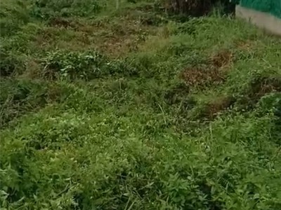 Đất chính chủ - mặt tiền - ấp 1 xã thuỷ tây, huyện thạnh hoá, tỉnh long an 1