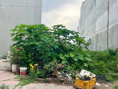 Bán 2 Lô Đất Liền Kề Khu Đấu Giá Kiến Thiết, Sở Dầu   Đường 11m, Giá Tốt Đầu Tư 3