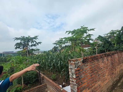 Bán đất phú cát, quốc oai 107m    gần nhà máy in tiền   giá chỉ từ 4x triệu/m 3
