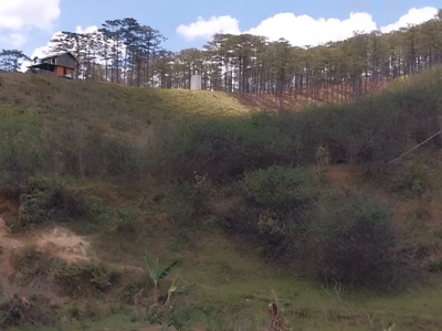 Bán 28 sào đất lạc dương cách trung tâm hành chính xã mới chỉ 4,5km - chỉ 400tr/sào 4